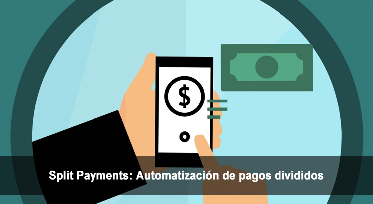 Split Payments